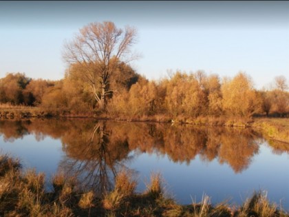 Foto:  Landgasthof Vogt